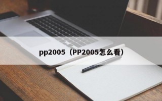 pp2005（PP2005怎么看）
